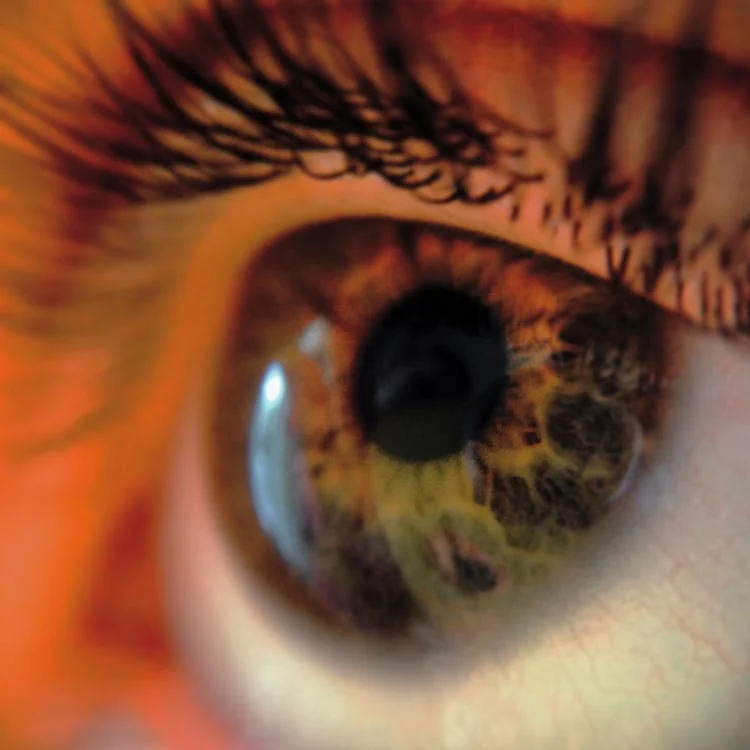Lentes de Diseñador